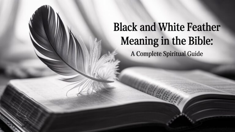 Black and White Feather Meaning in the Bible A Complete Spiritual Guide