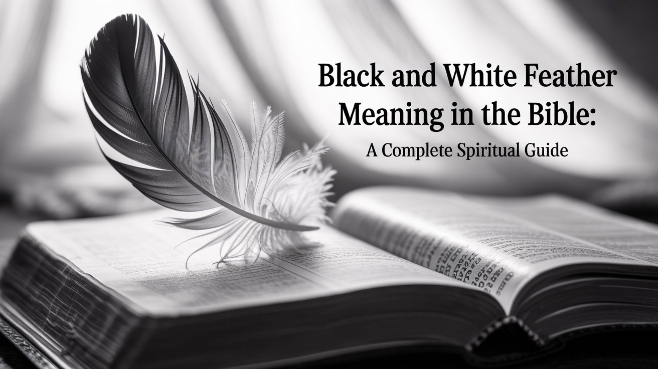 Black and White Feather Meaning in the Bible A Complete Spiritual Guide